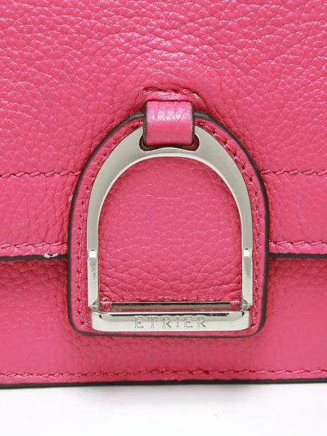 Small Leather Altesse Crossbody Bag Etrier Pink altesse EALT048S other view 5